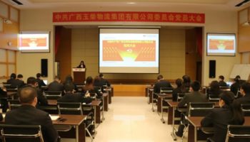 玉柴物流集團(tuán)黨委完成換屆選舉,夯實(shí)黨建基礎(chǔ)